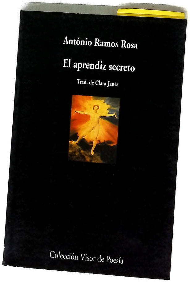 El aprendiz secreto