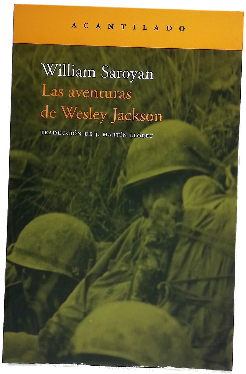 Las aventuras de Wesley Jackson