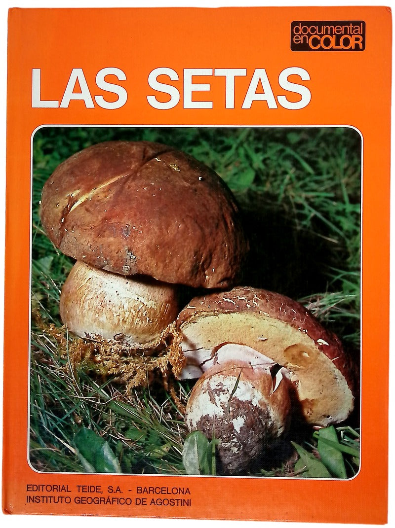 Las setas