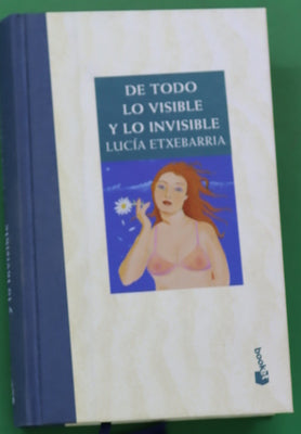 De todo lo visible y lo invisible una novela sobre el amor y otras mentiras