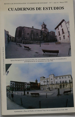 Cuadernos de estudios : revista de investigación de la Asociación Cultural "Pico San Pedro" (v. VII)