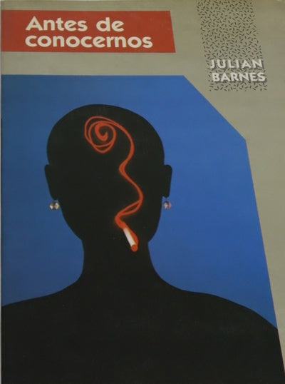 Antes de conocernos