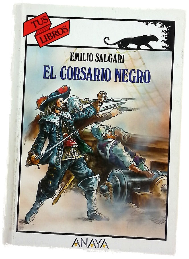 El corsario negro