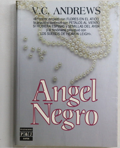 Ángel negro