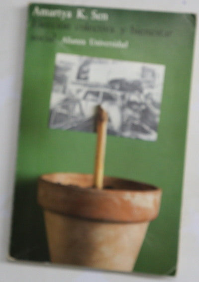 Elección colectiva y bienestar social