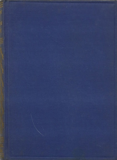 El capitán rebelde novela