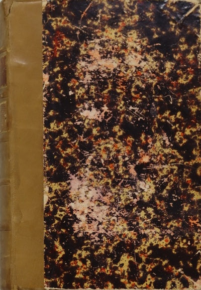 Emilio o la educación (v. I)