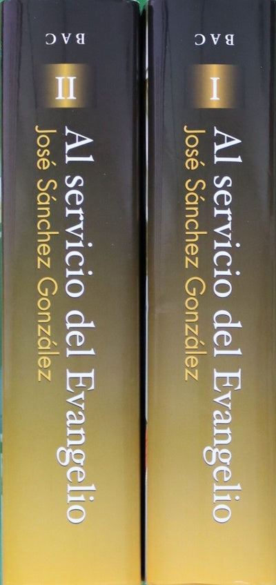 Al servicio del Evangelio