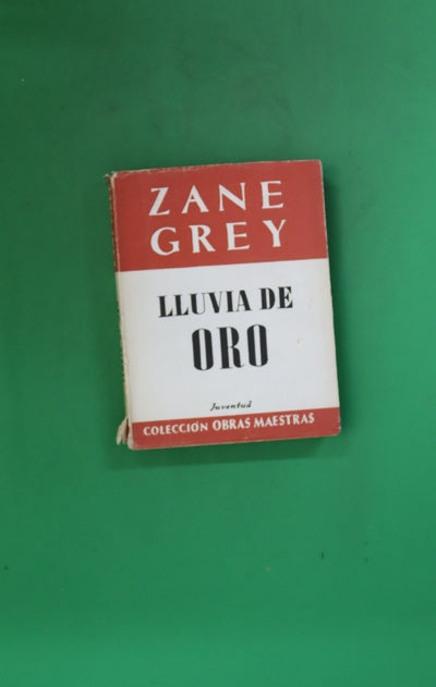 Lluvia de oro Novela