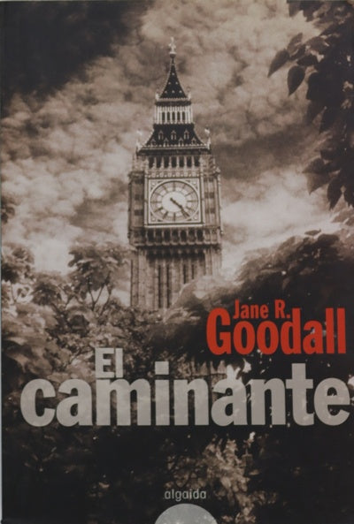 El caminante