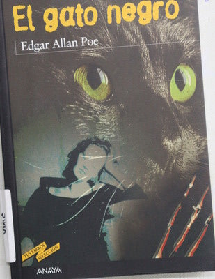 El gato negro