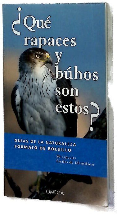 ¿Qué rapaces y búhos son estos?