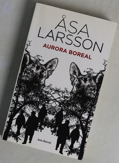 Aurora boreal