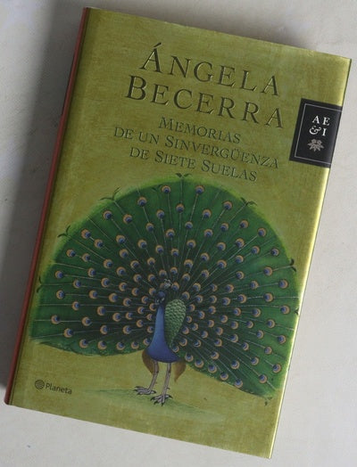 Memorias de un sinvergüenza de siete suelas