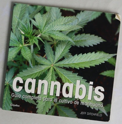 Cannabis