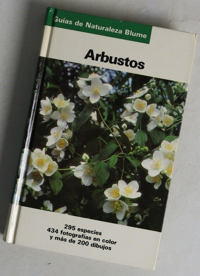 Arbusto