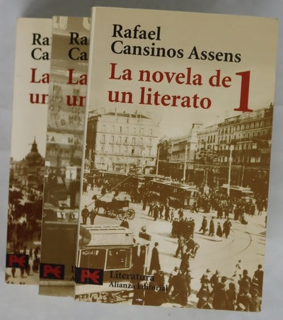 La novela de un literato