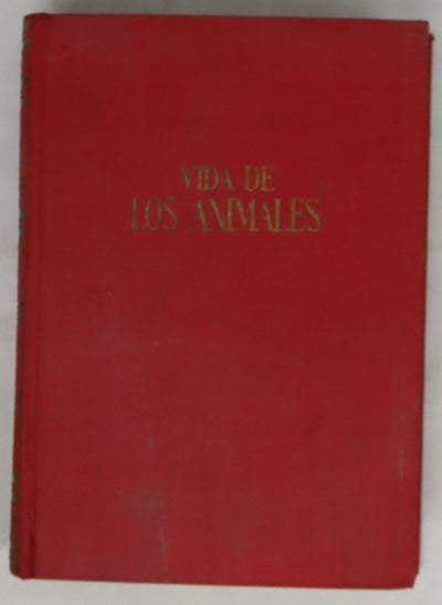 Vida de los animales