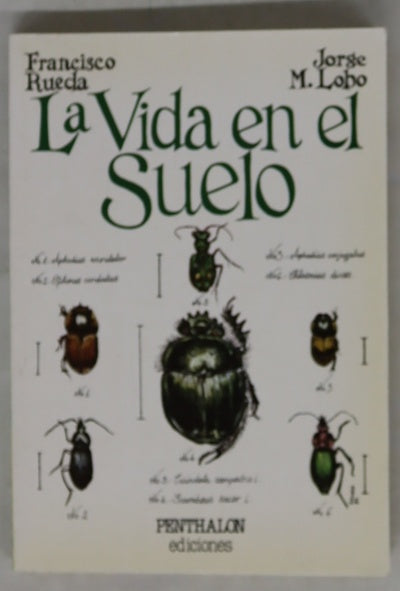 La vida en el suelo