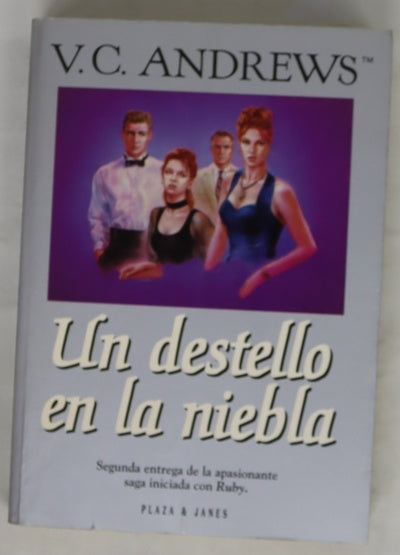 Un destello en la niebla