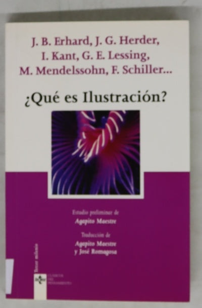 ¿Qué es Ilustración?