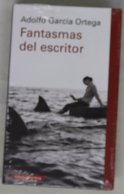 Fantasmas del escritor