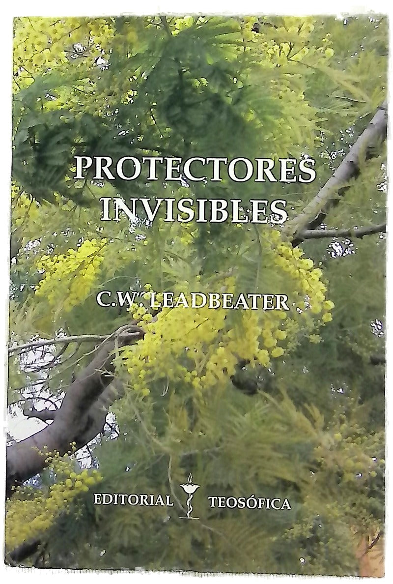 Protectores invisibles