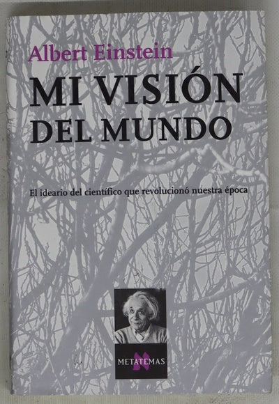 Mi visión del mundo