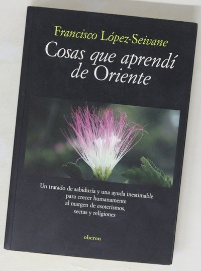 Cosas que aprendí de Oriente
