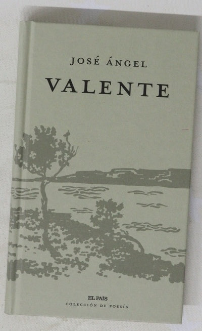 José Ángel Valente