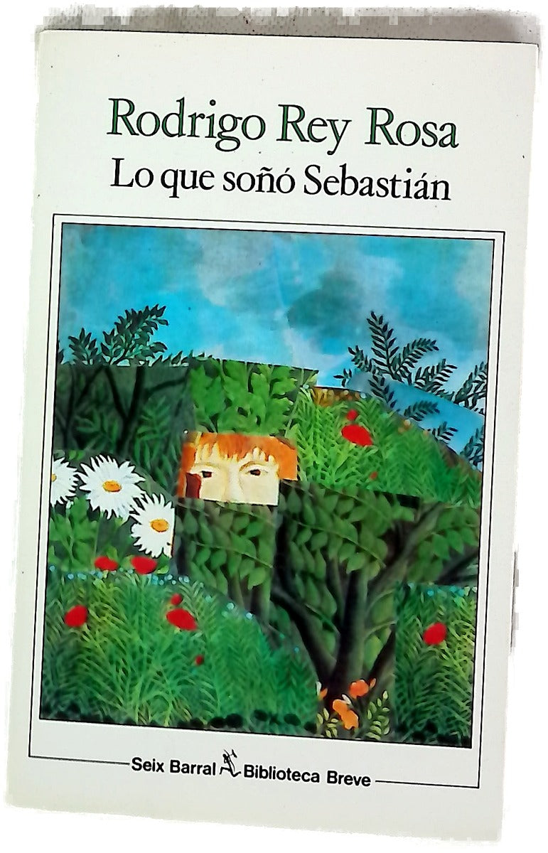 Lo que soñó Sebastián