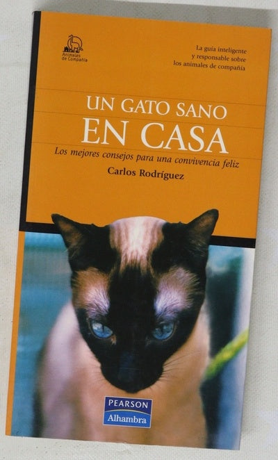 Un gato sano en casa los mejores consejos para una convivencia feliz