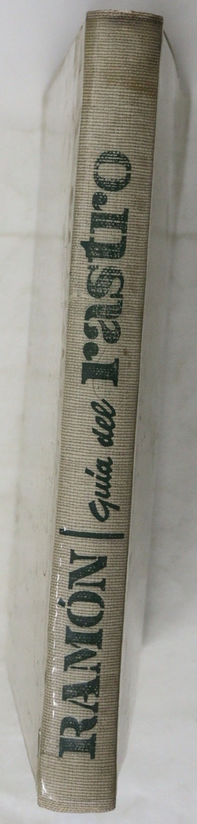 Guía del Rastro