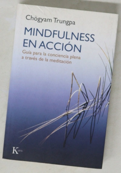 Mindfulness en acción : guía para la conciencia plena a través de la meditación
