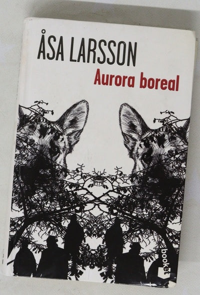 Aurora boreal