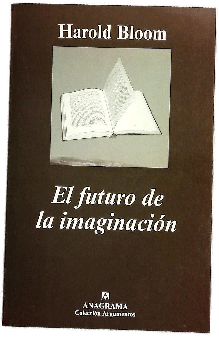 El futuro de la imaginación