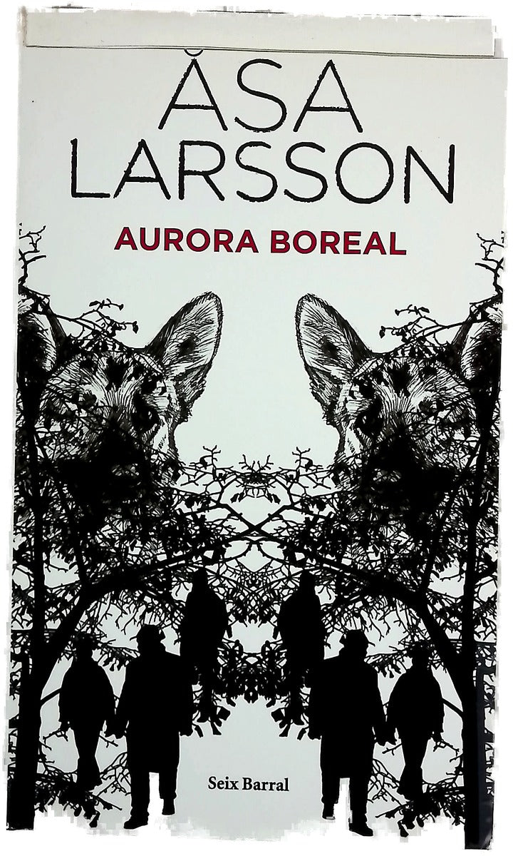 Aurora boreal