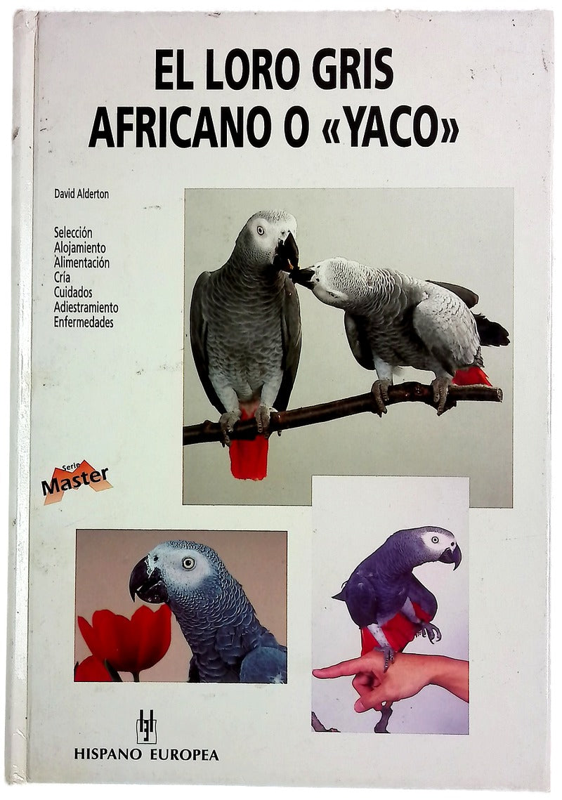 El loro gris africano o "Yaco"