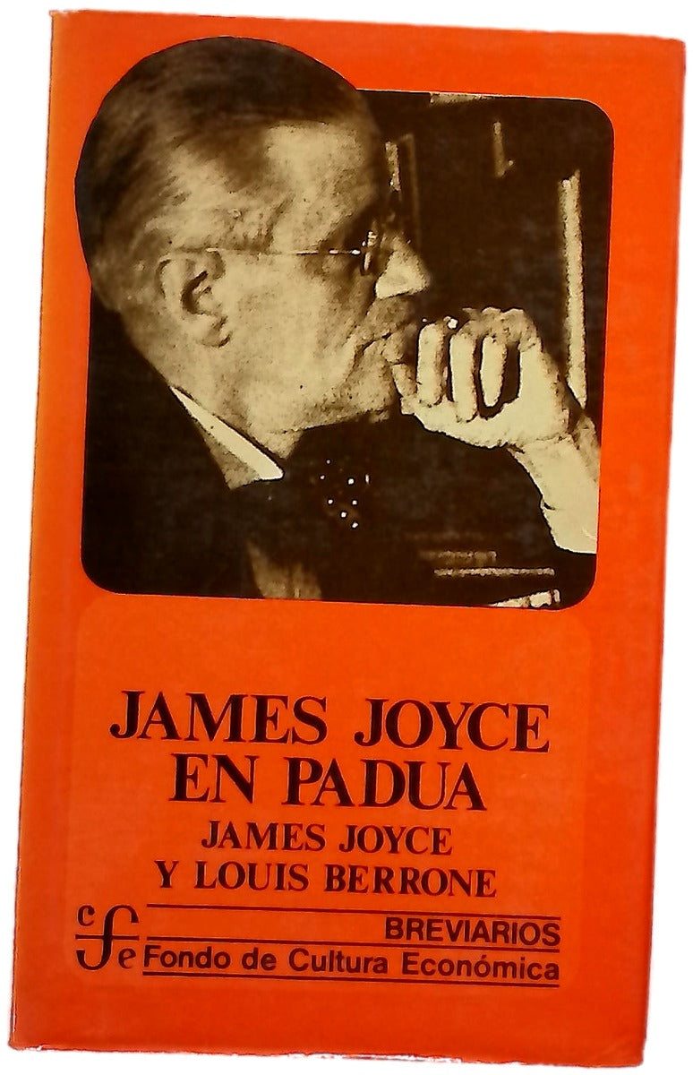 James Joyce En Padua