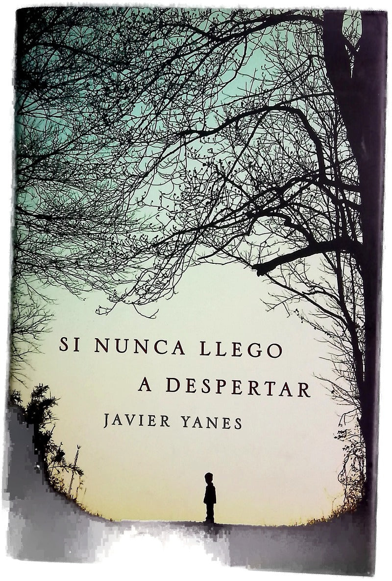 Si nunca llego a despertar