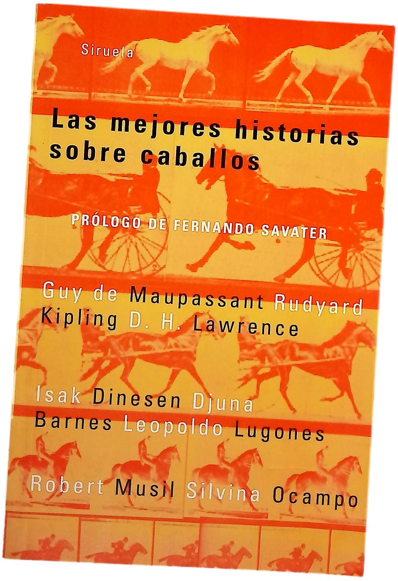 Las mejores historias sobre caballos