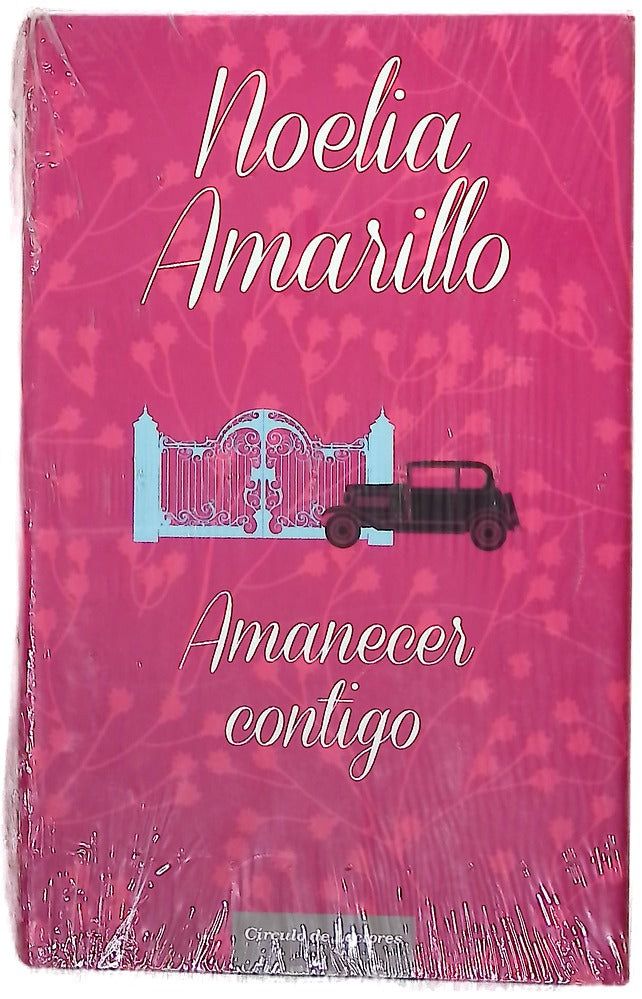 Amanecer contigo