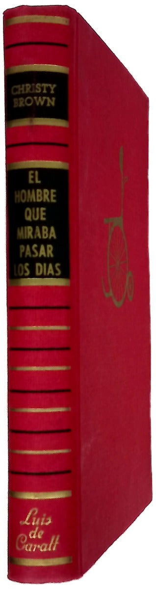 El hombre que miraba pasar los días