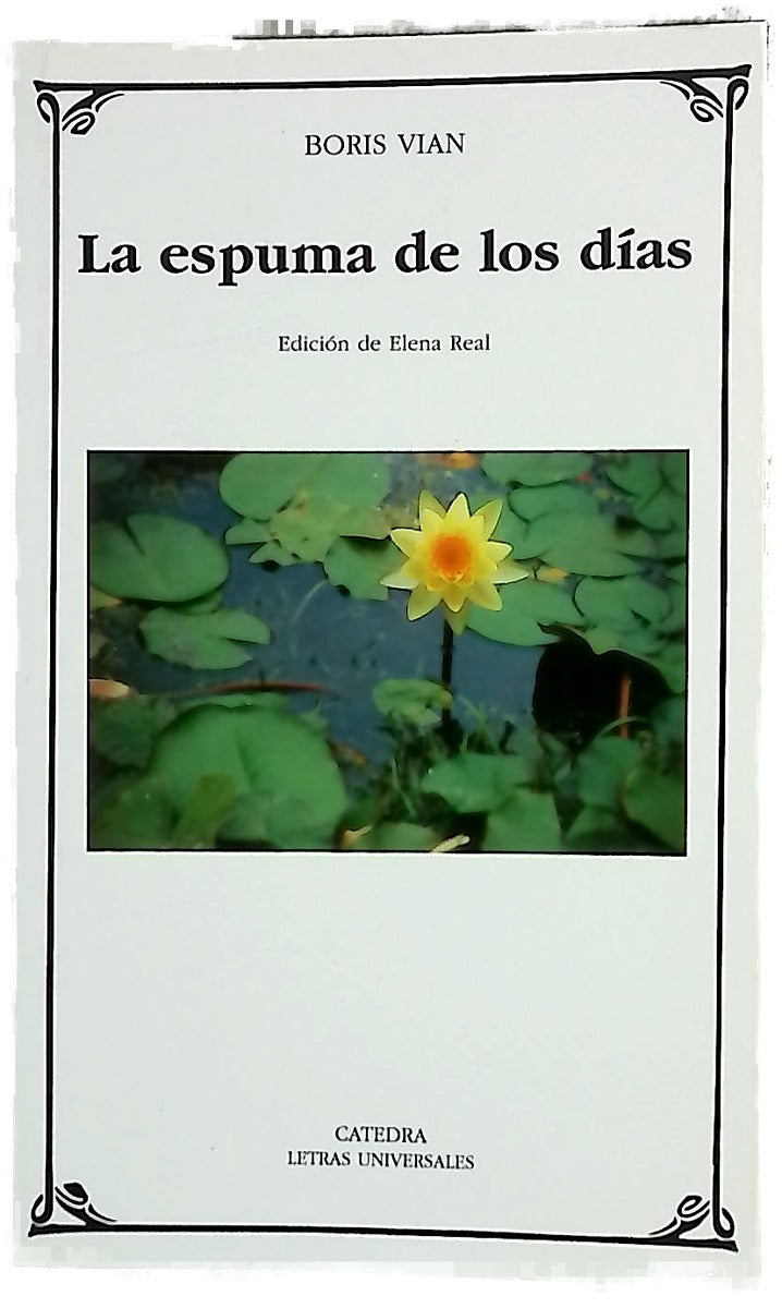 La espuma de los días
