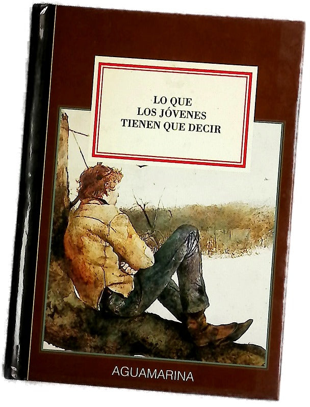 Lo que los jóvenes tienen que decir