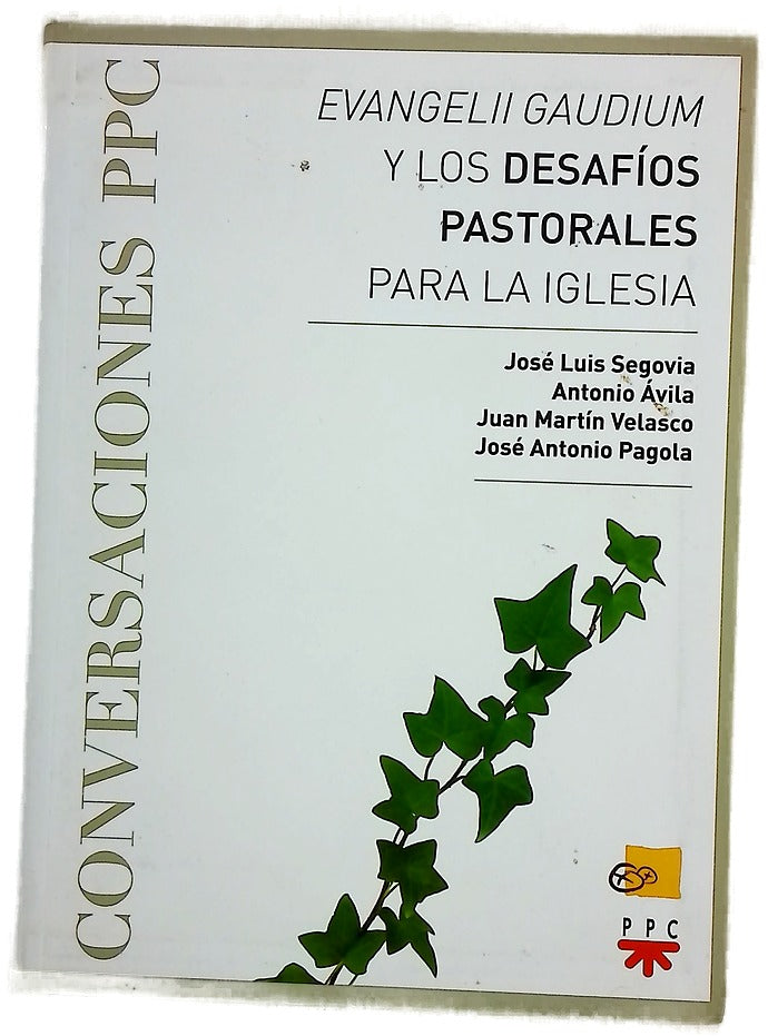 "Evangelii Gaudium" y los desafíos pastorales para la Iglesia