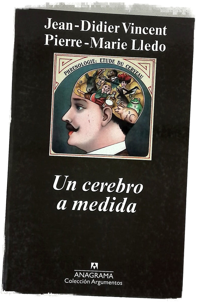 Un cerebro a medida