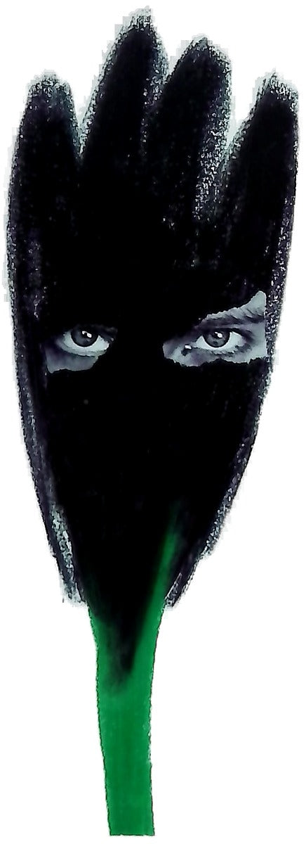 El tulipán negro