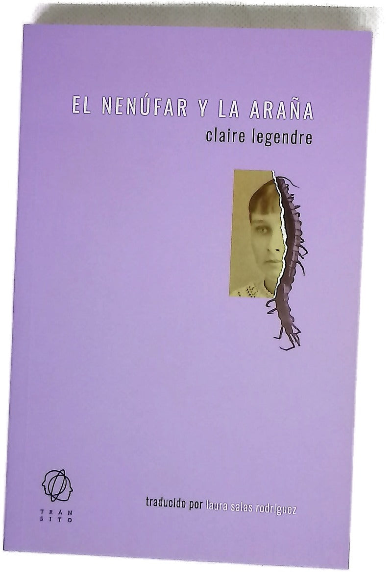 El nenúfar y la araña