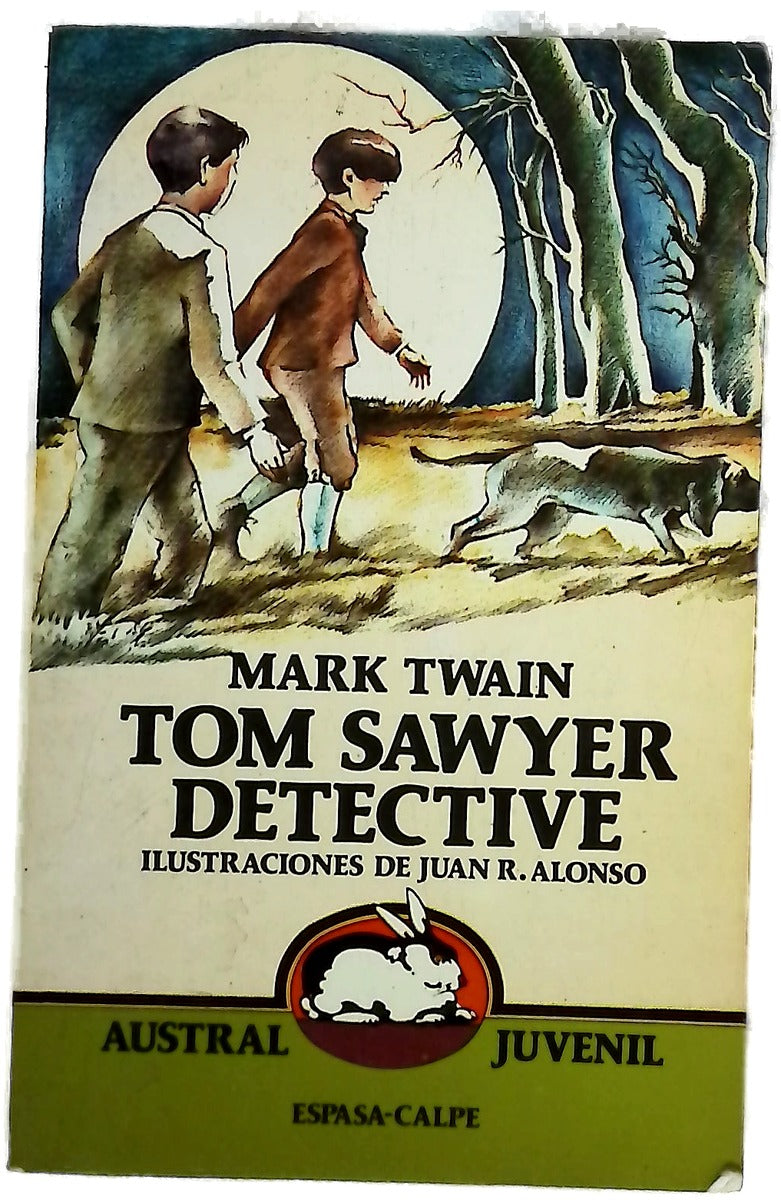 Tom Sawyer detective